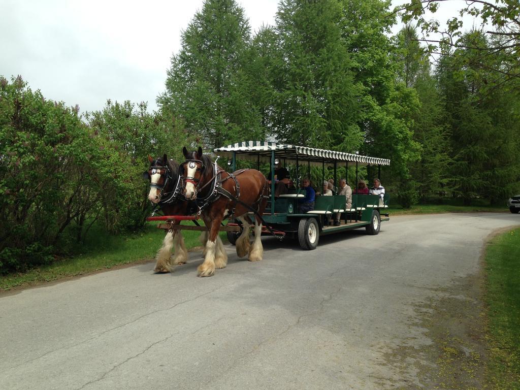 Elmhirst'S Resort Keene Buitenkant foto